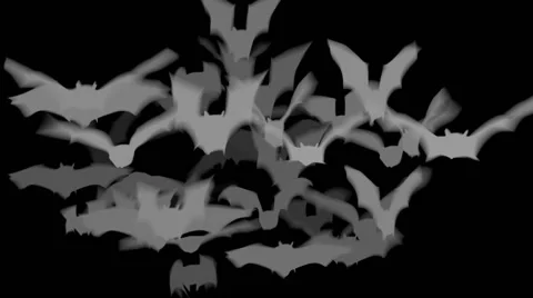 Bats On Black Background Vidéo 55878475