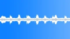 Bats Crying in the Night Sound Effect