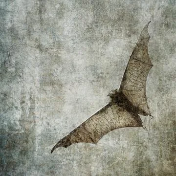 Bats in the dark cloudy sky, perfect halloween background Stock Illustration