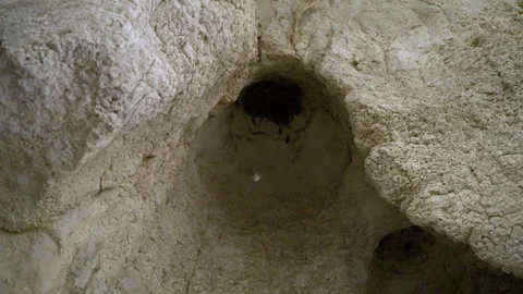 Bats emerging from small circular hole inside limestone cave ceiling Stock Footage 305231521