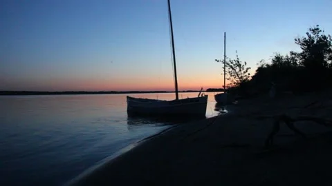 Bats feed on insects over a pacific marsh with boats and sunset in the back Stock Footage 170875157