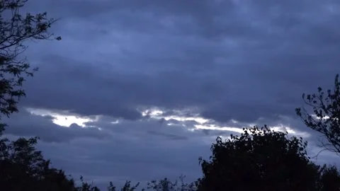 Bats fly at dusk 库存影片 154119615