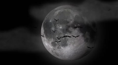 Bats Fly in Front of Spooky Moon Stock Footage 56164174