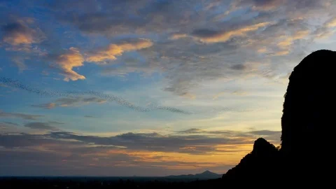 Bats fly out of the cave in the mountains at sunset. Stock Footage 111905577