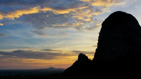 Bats fly out of the cave in the mountains at sunset. Stock Footage 111905762