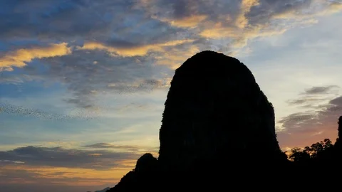 Bats fly out of the cave in the mountains at sunset. 스톡 동영상 112062836