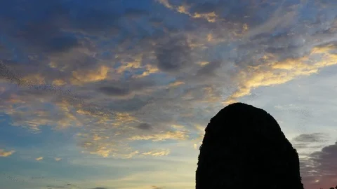 Bats fly out of the cave in the mountains at sunset. Stock Footage 112395468