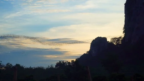 Bats fly out of the cave in the mountains at sunset. Stock Footage 112606108