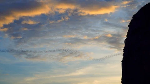 Bats fly out of the cave in the mountains at sunset. Stock Footage 112994840