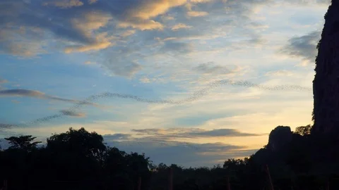 Bats fly out of the cave in the mountains at sunset. 動画素材 113989027