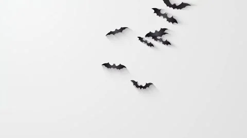 Bats flying against white background. Stock Footage 318171252