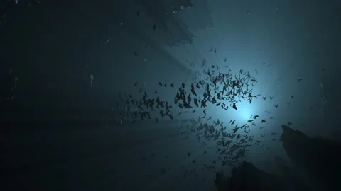 Bats flying in a cave at night Stock Footage