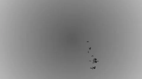 Bats flying Vidéo 10569107