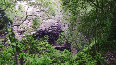 Bats flying out from cave Stock Footage 83532138