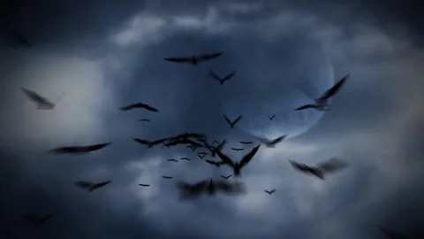 Bats Flying out of a Cloud Covered Moon 4K Loop Stock Footage 344771543