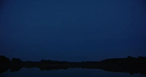 Bats flying over an evening pond in slow motion Video stock 252043947