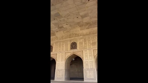 Bats flying round the interior of Agra Fort in Rajasthan, India Stock Footage 293303655