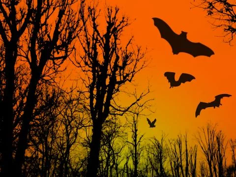 Bats flying in the sky Stock Illustration