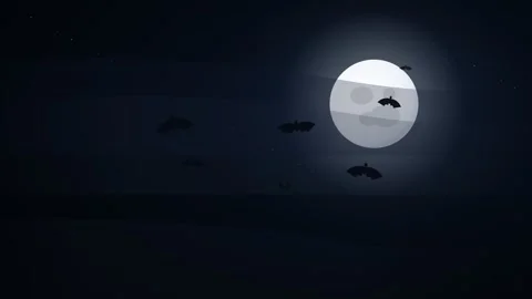 Bats Flying Through Moonlit Night Sky Animation for Halloween Spooky Events and 스톡 동영상 345886236