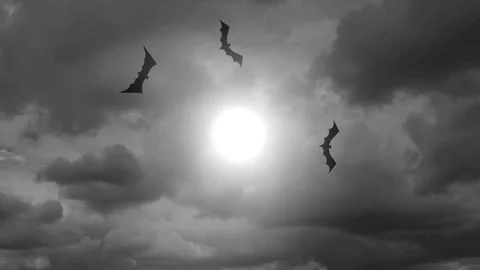 Bats Flying Through Storm Clouds Around Glowing Moon Stock Footage 335141309