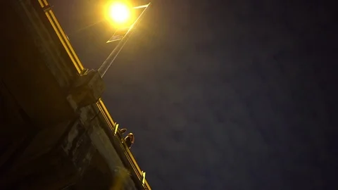 Bats Flying Under Congress Bridge At Night While People Watch At Night Stock Footage 82428985