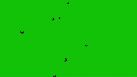 Bats Flying Upward on Greenscreen 4K Loop Stock Footage 299944463