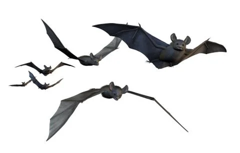 Bats Flying - on White Stock Illustration