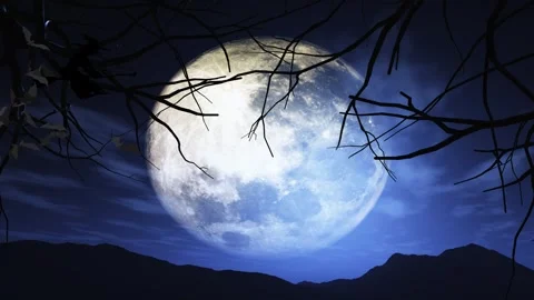 Bats follow the witch 4K LOOP Stock Footage 287695492