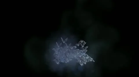 Bats Stock Footage 12385680