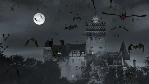 Bats Stock Footage 232918012