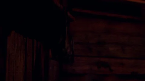 Bats for Halloween Stock Footage 7761290