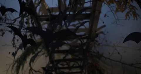 Bats Halloween Stockbeeldmateriaal 79958306