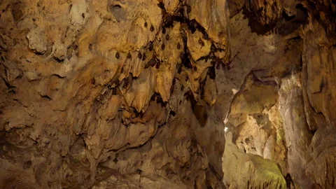 Bats hanging from ceiling of cave Stock Footage 87202389