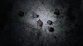 Bats hanging at the wall in a dark cave exploring with electric torch 4k 4k or 4k+ Resolution