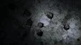 Bats hanging at the wall in a dark cave exploring with electric torch 4k 4k or 4k+ Resolution