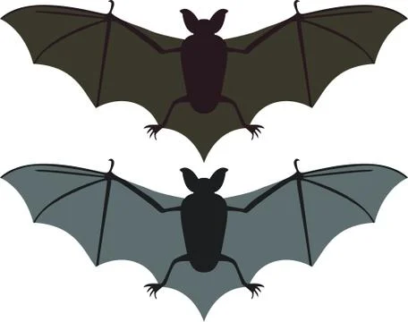 Bats イラスト素材