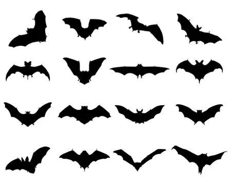 Bats Stock Illustration