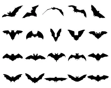 Bats Stock Illustration