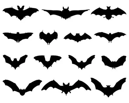 Bats Stock Illustration