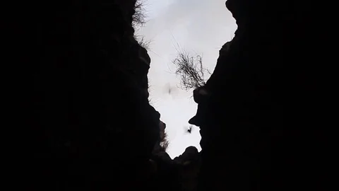 Bats in a lava tunnel Stock Footage 98671325