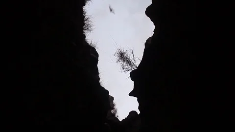 Bats in a lava tunnel Stock Footage 98671329