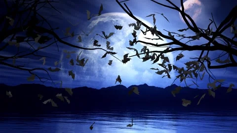 Bats run away when they see the witch 4K LOOP Stock Footage 287695510