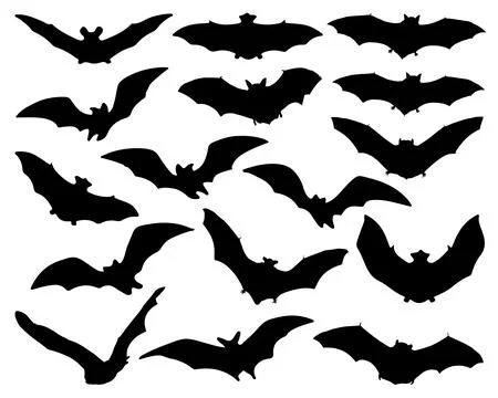 BATS SILHOUETTE VECTOR ART Stock Illustration