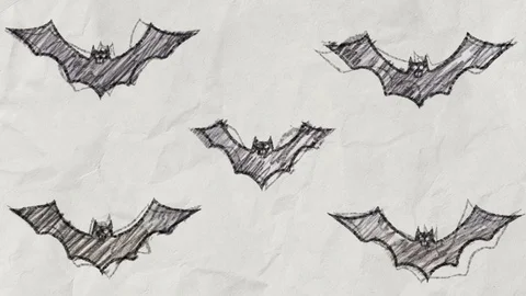 Bat Pencil Drawing by Merritt-Trainboy on DeviantArt