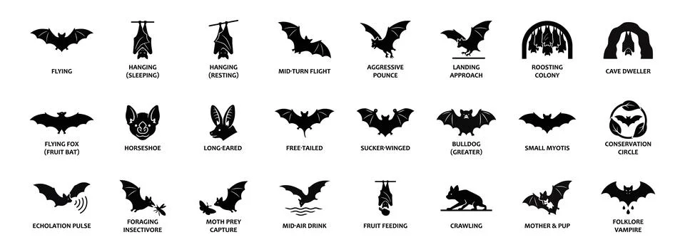 Bats solid icon set featuring flying, hanging, sleeping, and horseshoe spec.. Stock Illustration