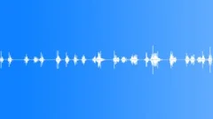 BATSSound Effect