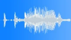 Bats SqueakingSound Effect