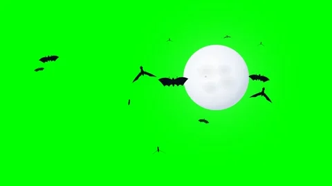 Bats Swarm Around a Full Moon on a Green Screen for Spooky Halloween Visuals 스톡 동영상 345885840