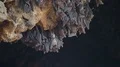 Bats swarm hanging and flying close up at bat cave wall in Indonesia 4k or 4k+ Resolution
