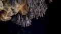 Bats swarm hanging and flying close up at bat cave wall in Indonesia HD Footage